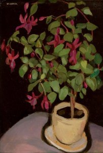 Pot of Fuchsias (Le pot de fuschias)